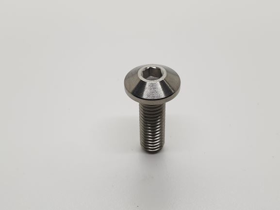 BMW FRONT DISK ROTOR BOLT M8 X 1.25 X 25MM