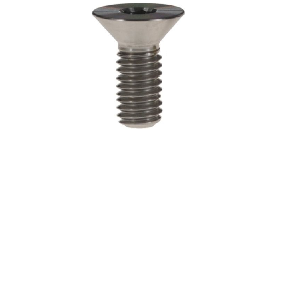 M10X25MM 1.25 THREAD PITCH TITANIUM COUNTERSUNK BOLT GRADE 5