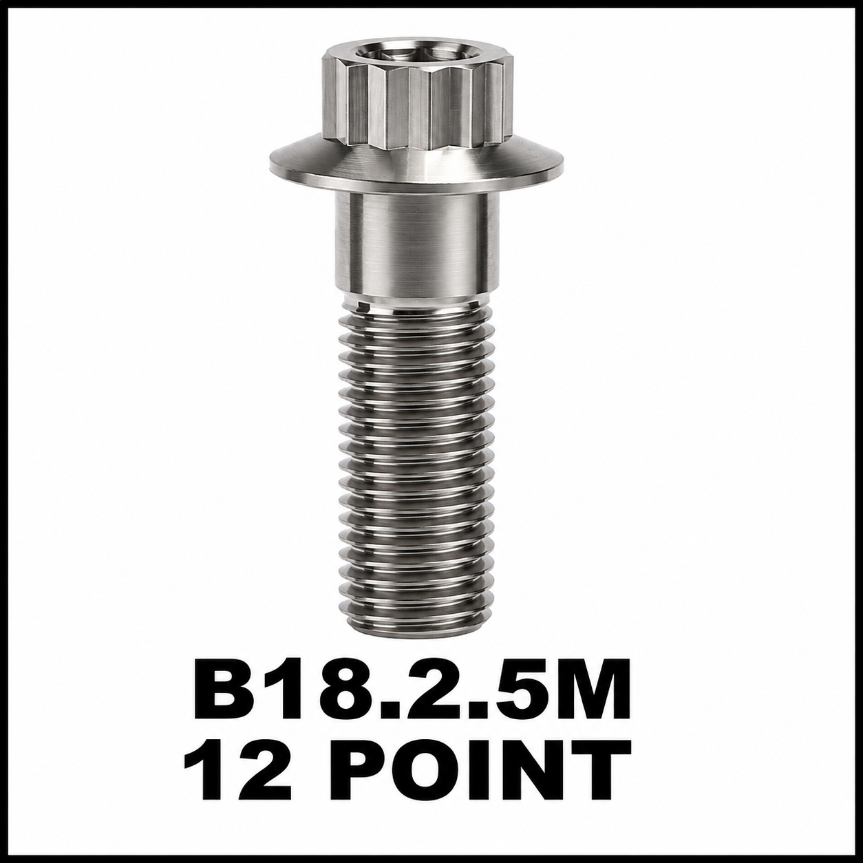12 POINT BOLTS 12 POINT BOLTS