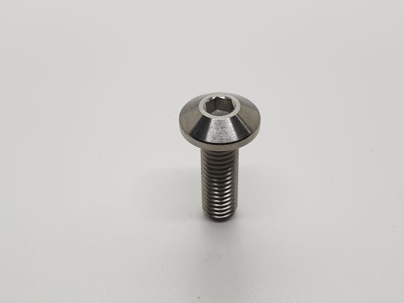 BMW FRONT DISK ROTOR BOLT M8 X 1.25 X 26MM