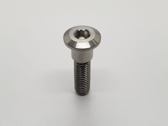 TITANIUM KAWASAKI DISK ROTOR BOLT M8X1.25X30MM